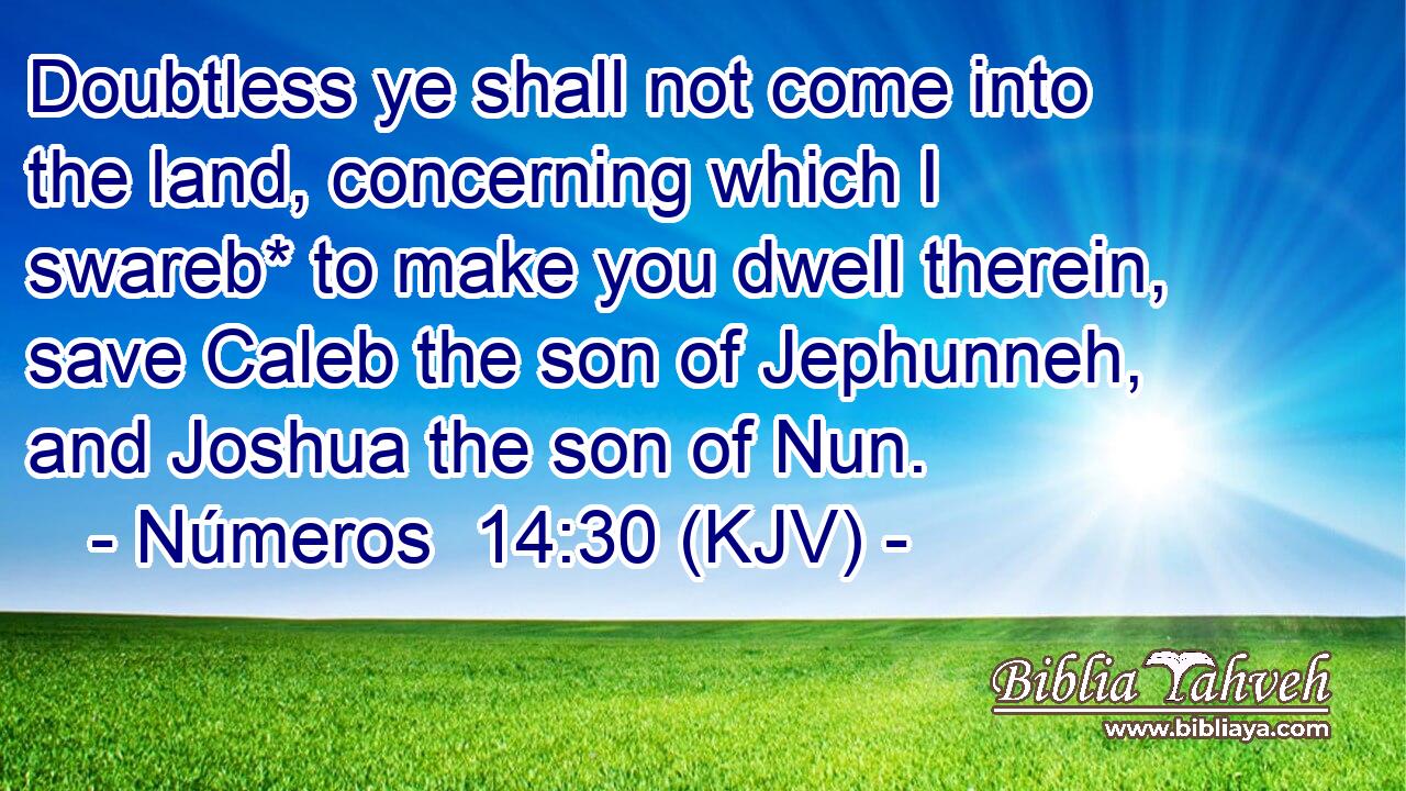 Doubtless ye shall not come into the land, concerning which I swareb* to make you dwell therein, save Caleb the son of Jephunneh, and Joshua the son of Nun.