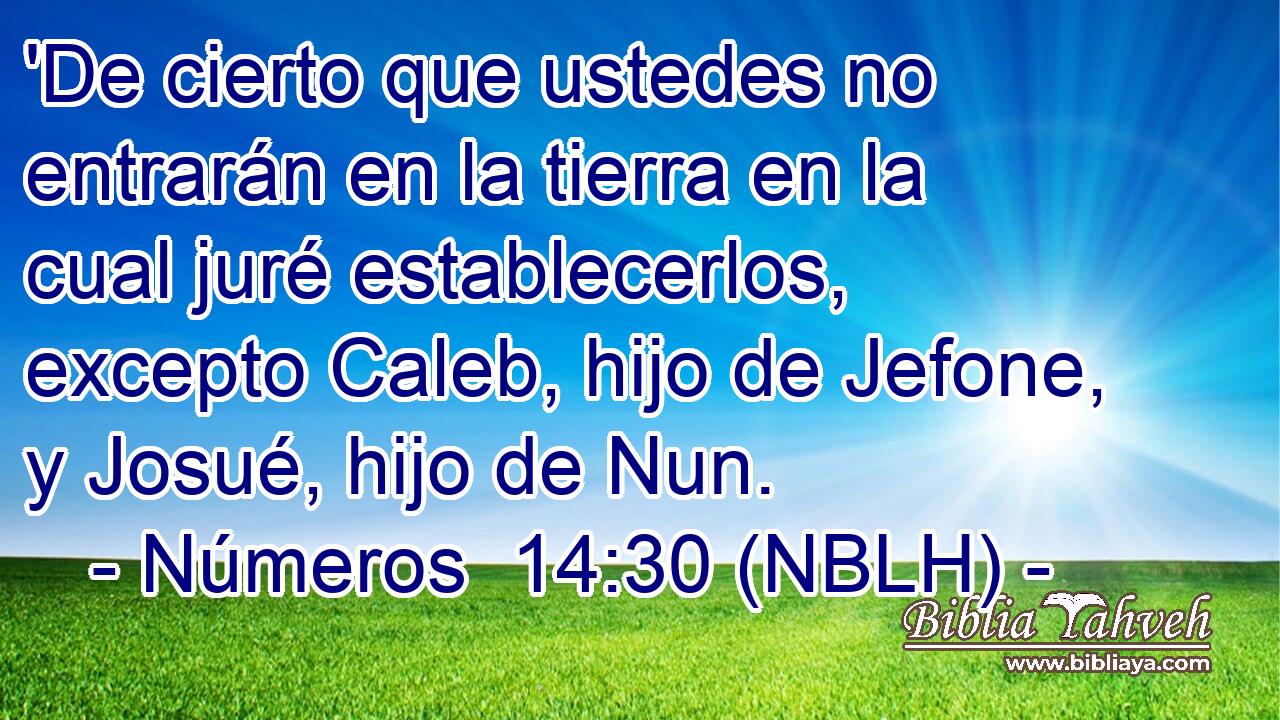  'De cierto que ustedes no entrarán en la tierra en la cual juré establecerlos, excepto Caleb, hijo de Jefone, y Josué, hijo de Nun. 