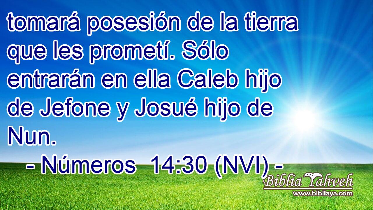  tomará posesión de la tierra que les prometí. Sólo entrarán en ella Caleb hijo de Jefone y Josué hijo de Nun. 