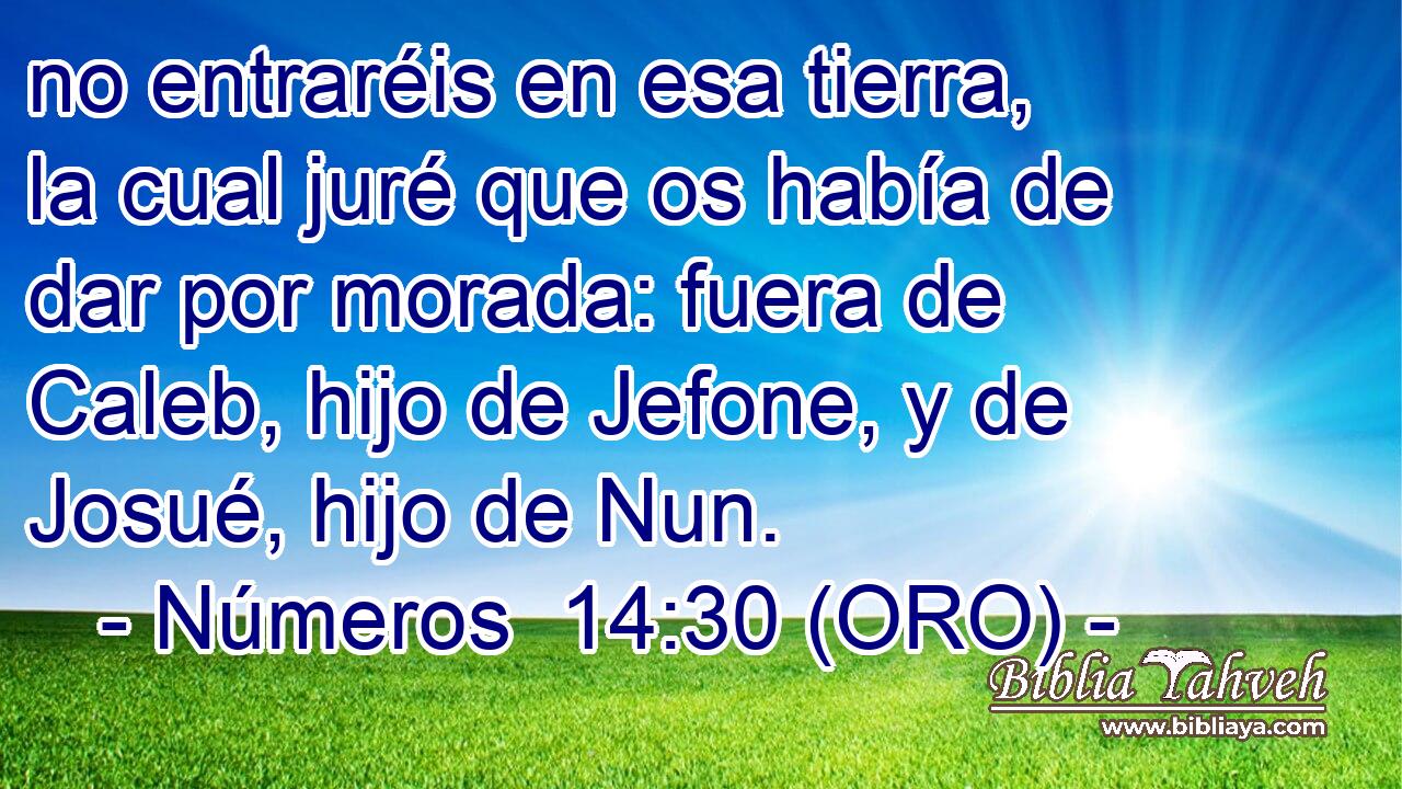  no entraréis en esa tierra, la cual juré que os había de dar por morada: fuera de Caleb, hijo de Jefone, y de Josué, hijo de Nun. 