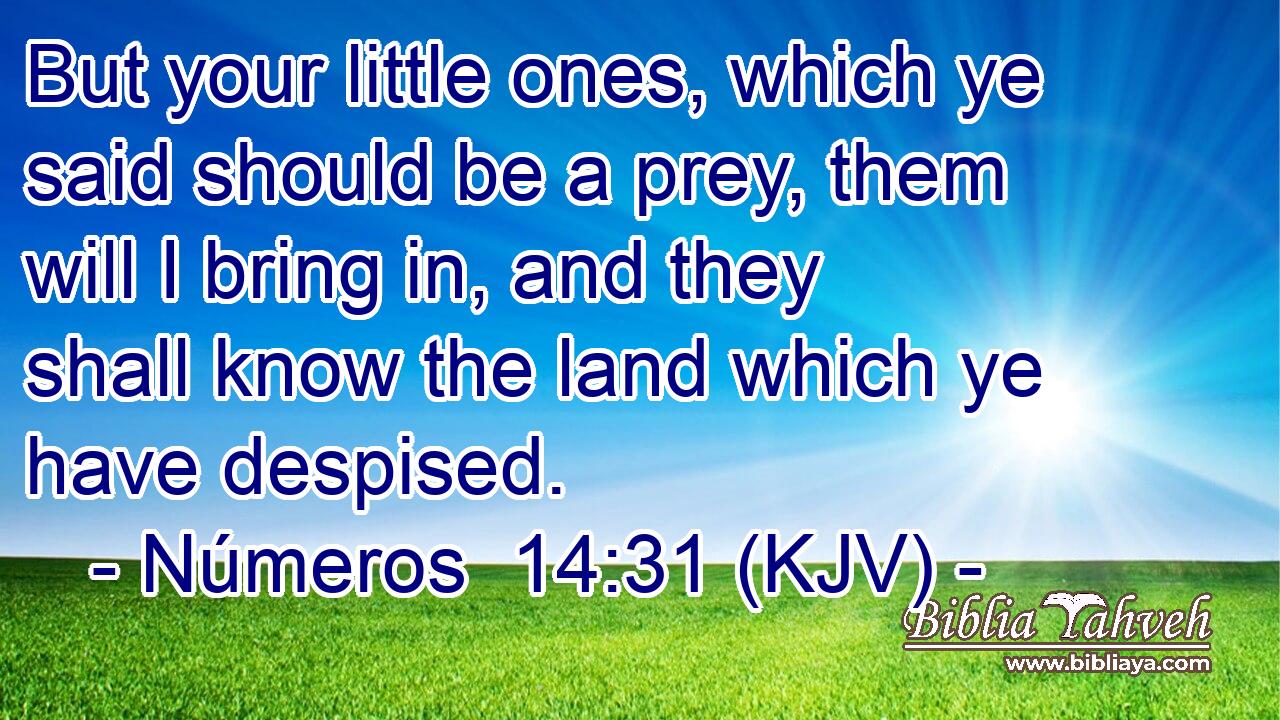 But your little ones, which ye said should be a prey, them will I bring in, and they shall know the land which ye have despised.