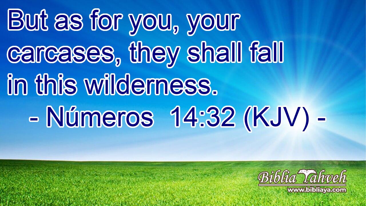But as for you, your carcases, they shall fall in this wilderness.