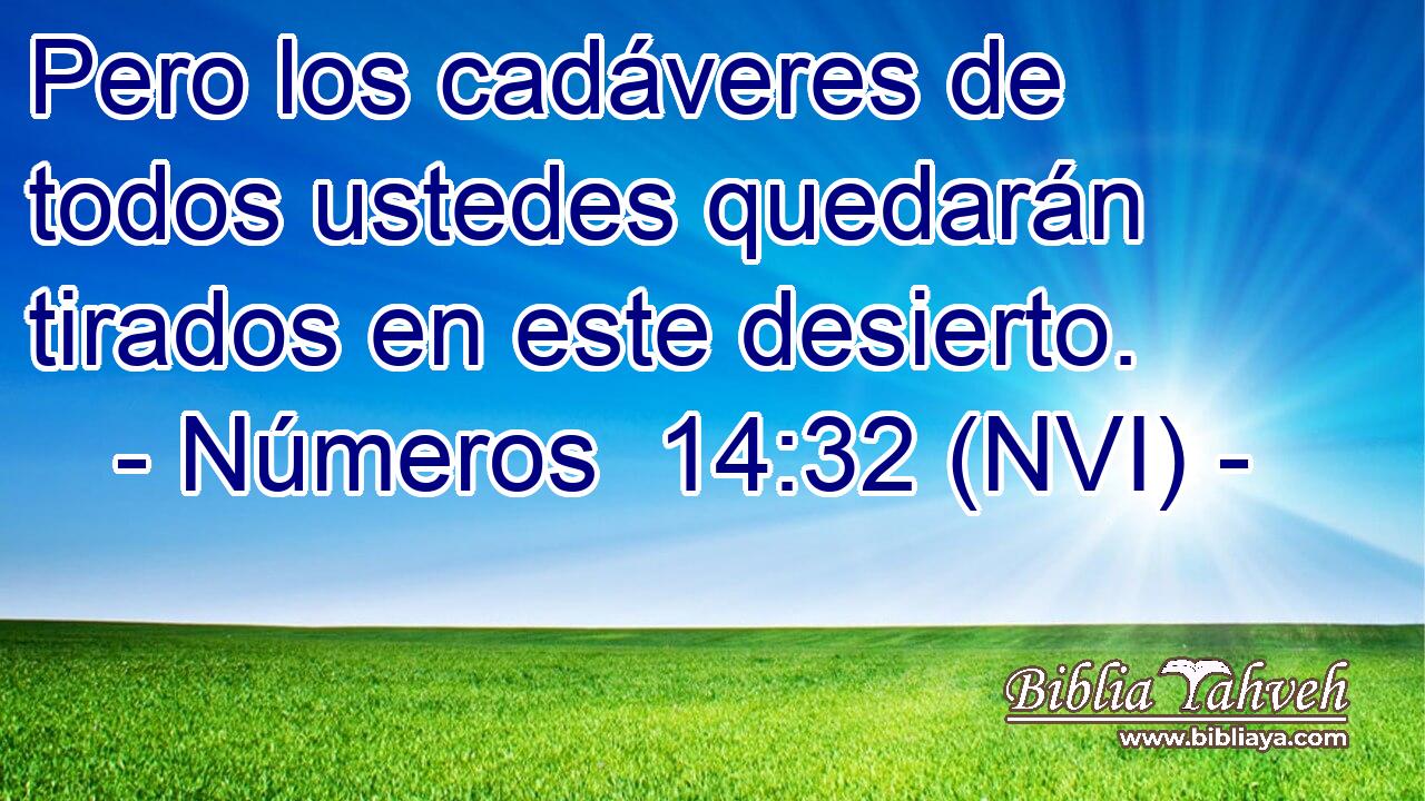  Pero los cadáveres de todos ustedes quedarán tirados en este desierto. 