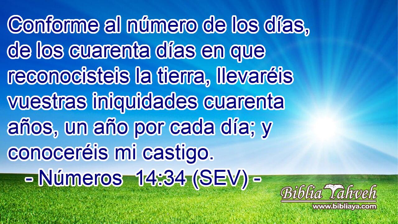 Conforme al número de los días, de los cuarenta días en que reconocisteis la tierra, llevaréis vuestras iniquidades cuarenta años, un año por cada día; y conoceréis mi castigo.