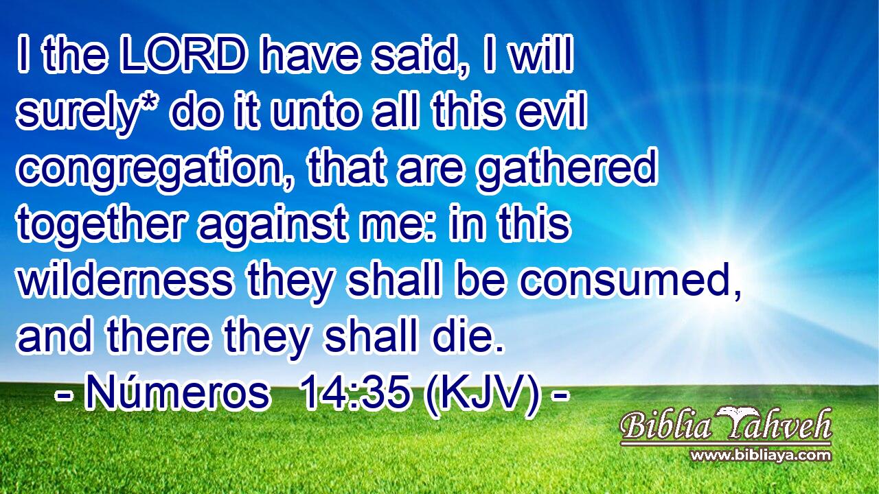 I the LORD have said, I will surely* do it unto all this evil congregation, that are gathered together against me: in this wilderness they shall be consumed, and there they shall die.