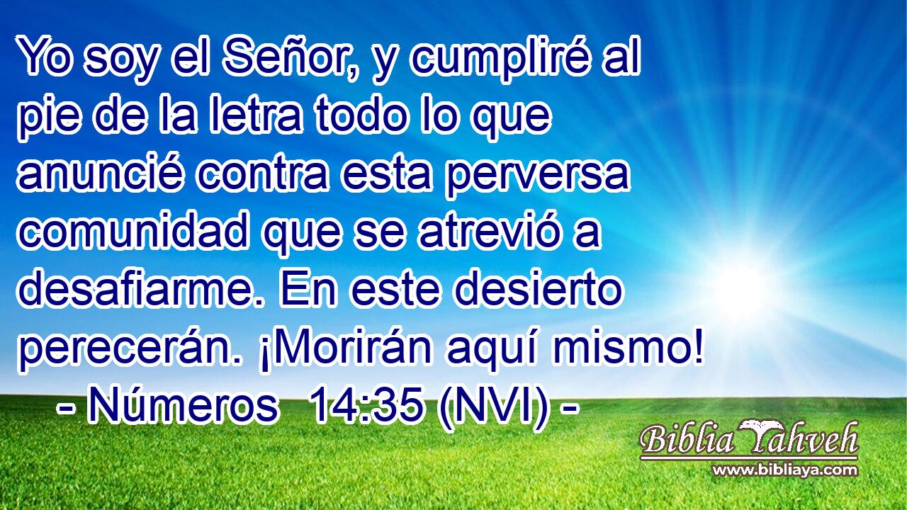  Yo soy el Señor, y cumpliré al pie de la letra todo lo que anuncié contra esta perversa comunidad que se atrevió a desafiarme. En este desierto perecerán. ¡Morirán aquí mismo! 