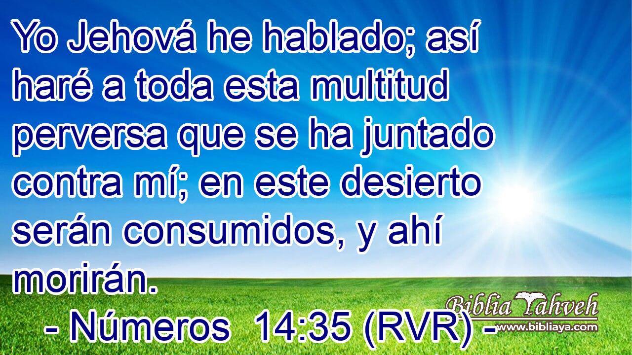 Yo Jehová he hablado; así haré a toda esta multitud perversa que se ha juntado contra mí; en este desierto serán consumidos, y ahí morirán.