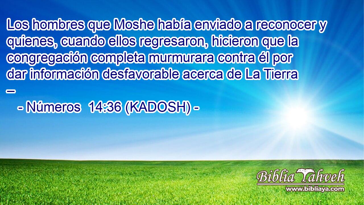  Los hombres que Moshe había enviado a reconocer y quienes, cuando ellos regresaron, hicieron que la congregación completa murmurara contra él por dar información desfavorable acerca de La Tierra – 