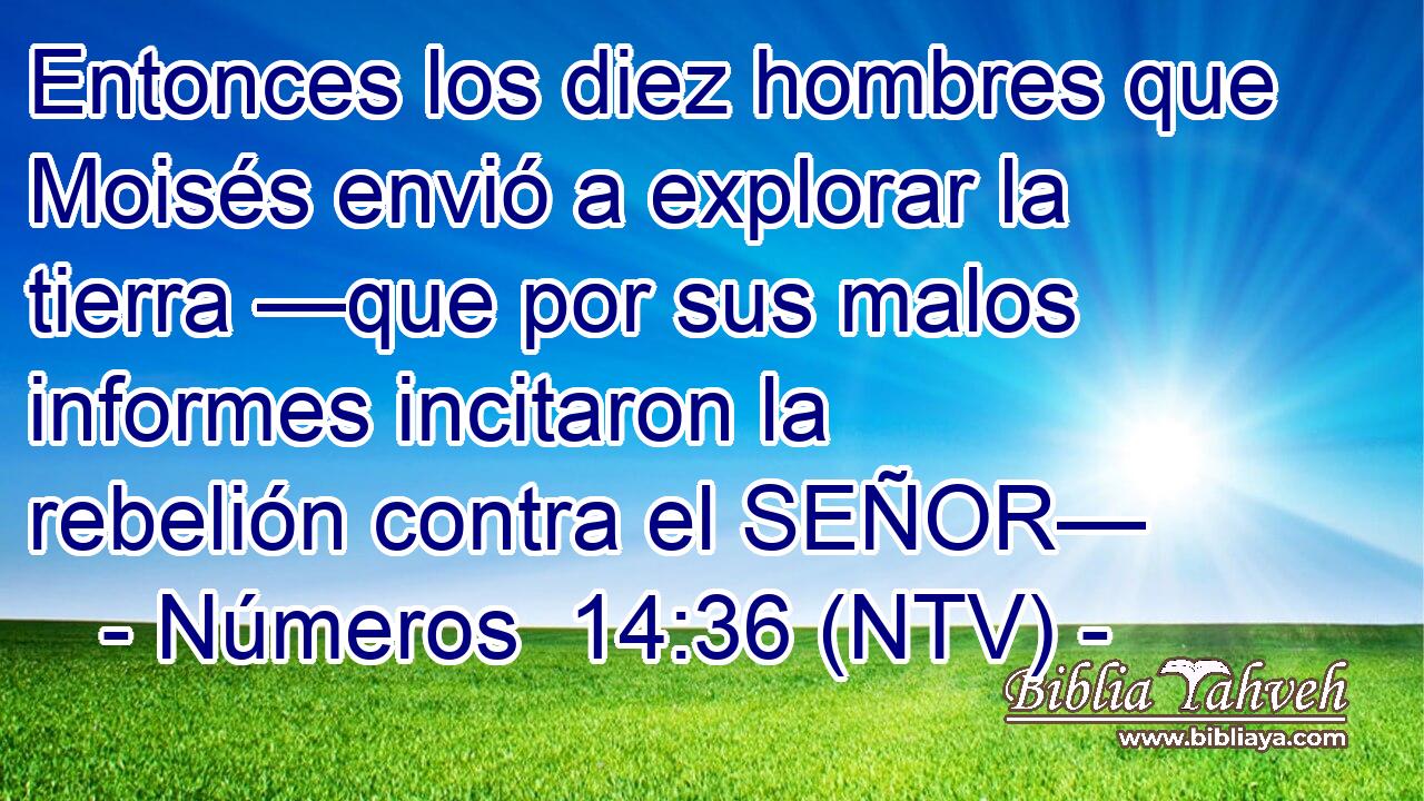 Entonces los diez hombres que Moisés envió a explorar la tierra —que por sus malos informes incitaron la rebelión contra el SEÑOR—