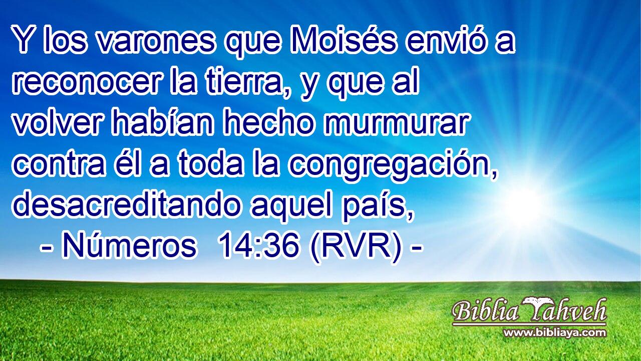 Y los varones que Moisés envió a reconocer la tierra, y que al volver habían hecho murmurar contra él a toda la congregación, desacreditando aquel país,