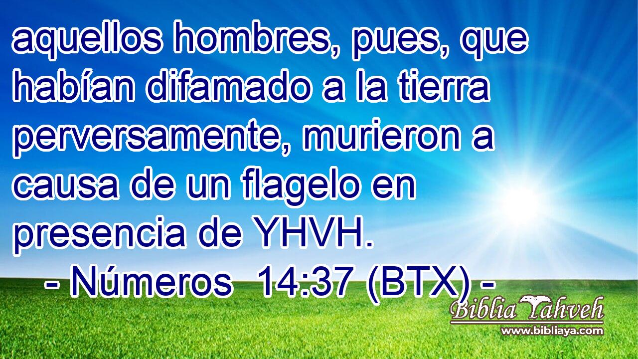 aquellos hombres, pues, que habían difamado a la tierra perversamente, murieron a causa de un flagelo en presencia de YHVH.