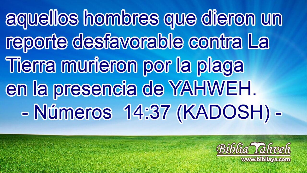  aquellos hombres que dieron un reporte desfavorable contra La Tierra murieron por la plaga en la presencia de YAHWEH. 