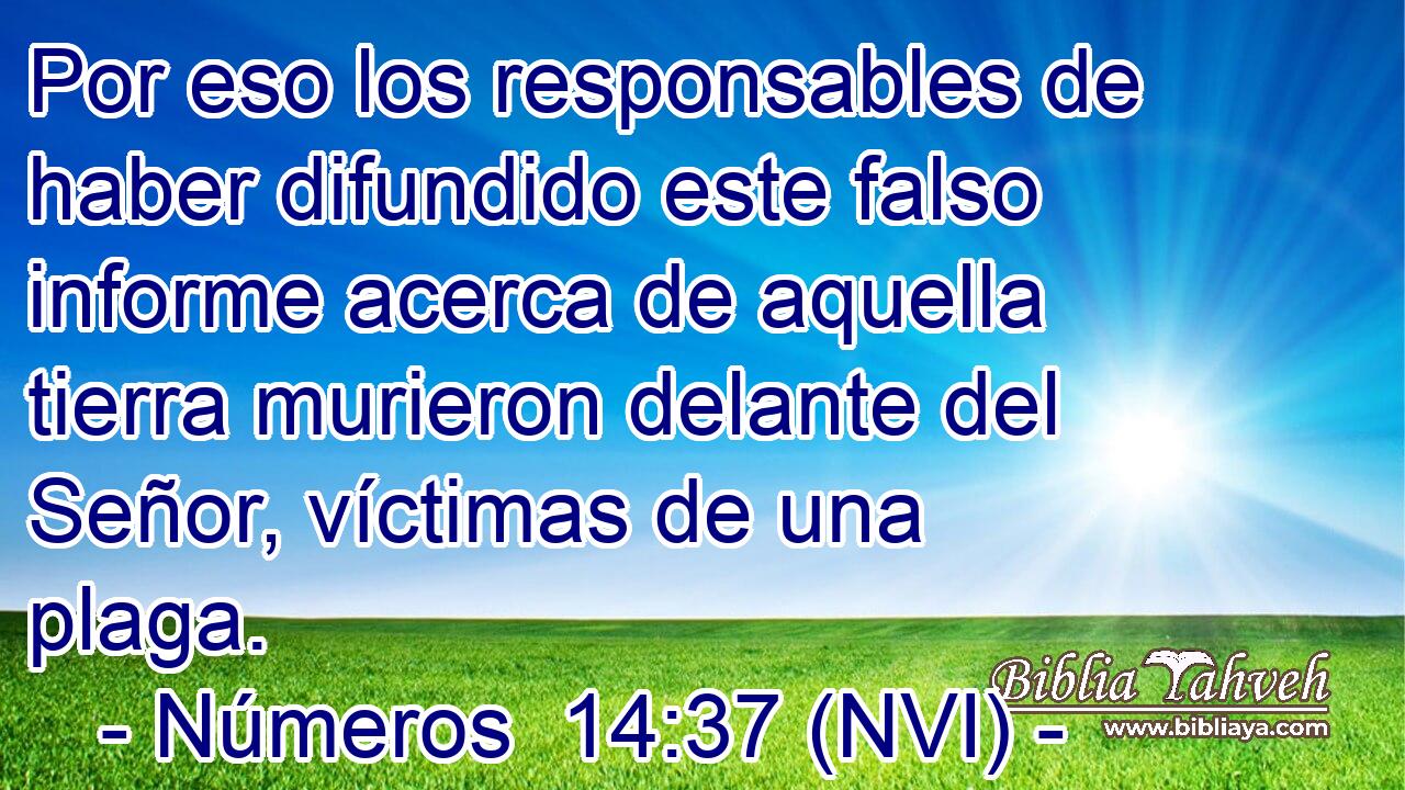  Por eso los responsables de haber difundido este falso informe acerca de aquella tierra murieron delante del Señor, víctimas de una plaga. 