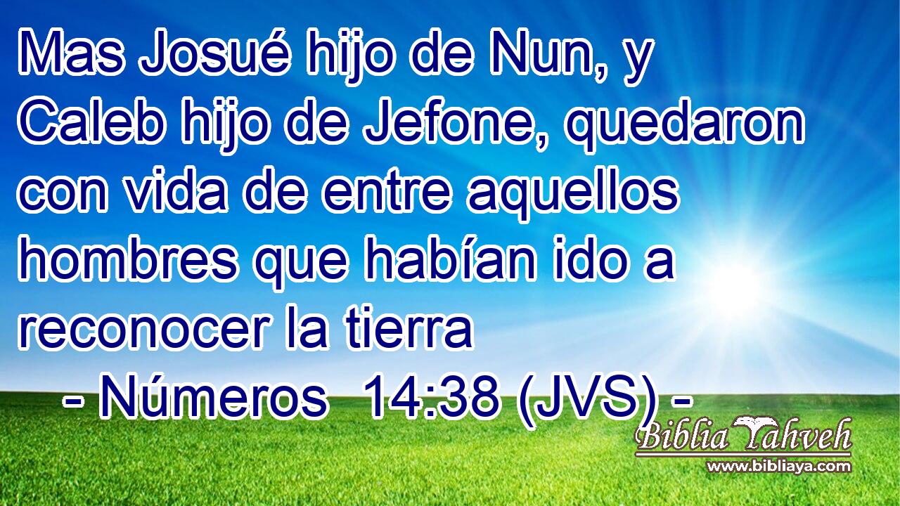 Mas Josué hijo de Nun, y Caleb hijo de Jefone, quedaron con vida de entre aquellos hombres que habían ido a reconocer la tierra