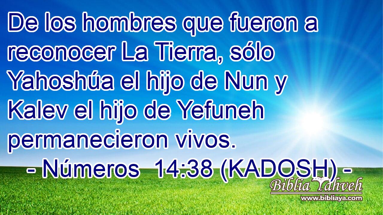  De los hombres que fueron a reconocer La Tierra, sólo Yahoshúa el hijo de Nun y Kalev el hijo de Yefuneh permanecieron vivos. 