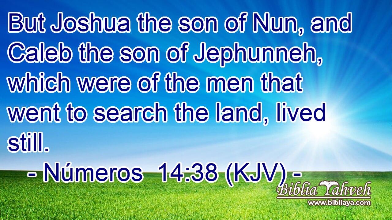But Joshua the son of Nun, and Caleb the son of Jephunneh, which were of the men that went to search the land, lived still.