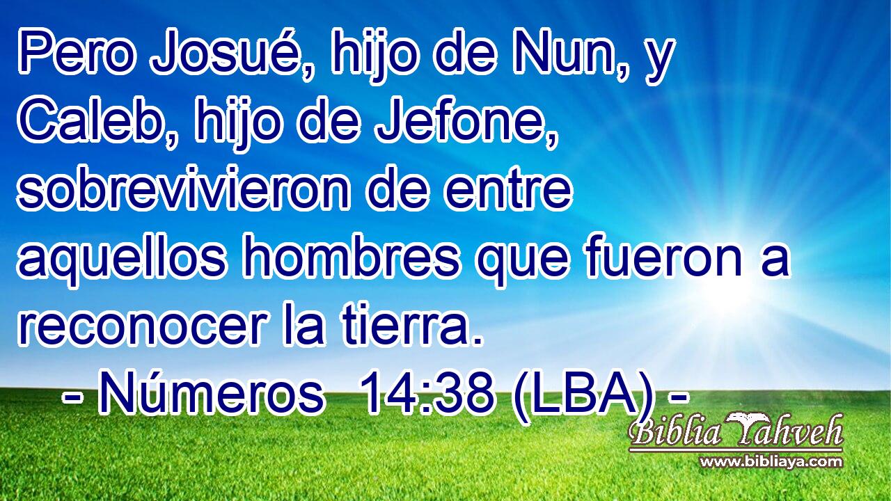 Pero Josué, hijo de Nun, y Caleb, hijo de Jefone, sobrevivieron de entre aquellos hombres que fueron a reconocer la tierra.