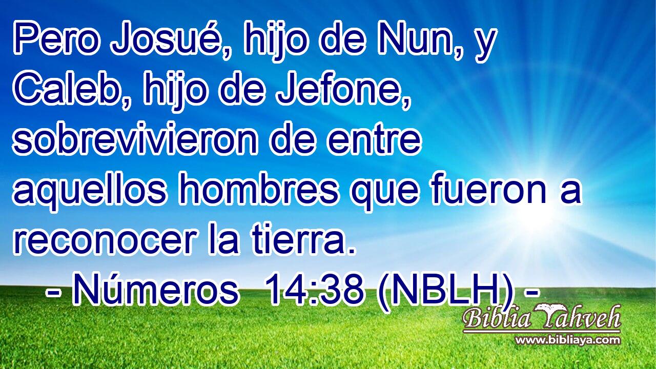  Pero Josué, hijo de Nun, y Caleb, hijo de Jefone, sobrevivieron de entre aquellos hombres que fueron a reconocer la tierra. 