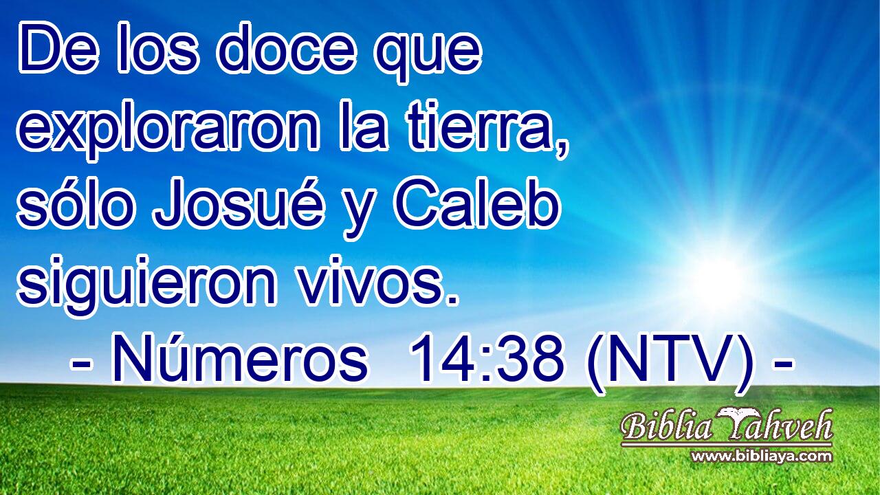 De los doce que exploraron la tierra, sólo Josué y Caleb siguieron vivos.