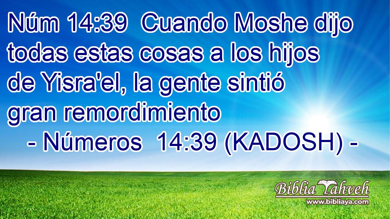  Cuando Moshe dijo todas estas cosas a los hijos de Yisra'el, la gente sintió gran remordimiento 