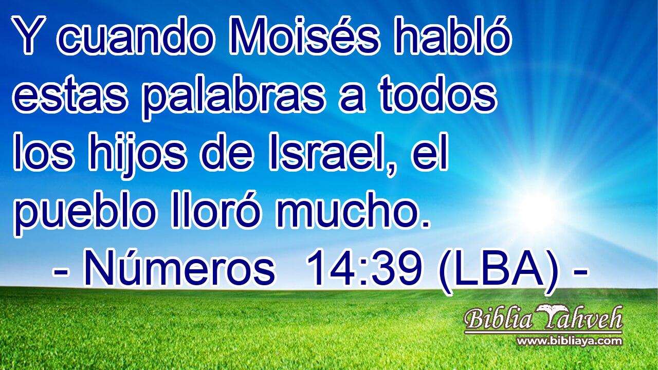 Y cuando Moisés habló estas palabras a todos los hijos de Israel, el pueblo lloró mucho.