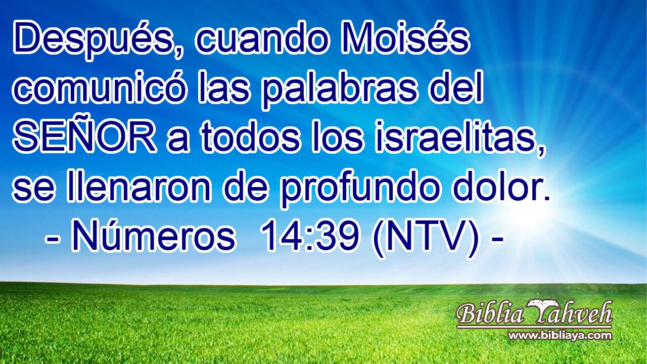 Después, cuando Moisés comunicó las palabras del SEÑOR a todos los israelitas, se llenaron de profundo dolor.