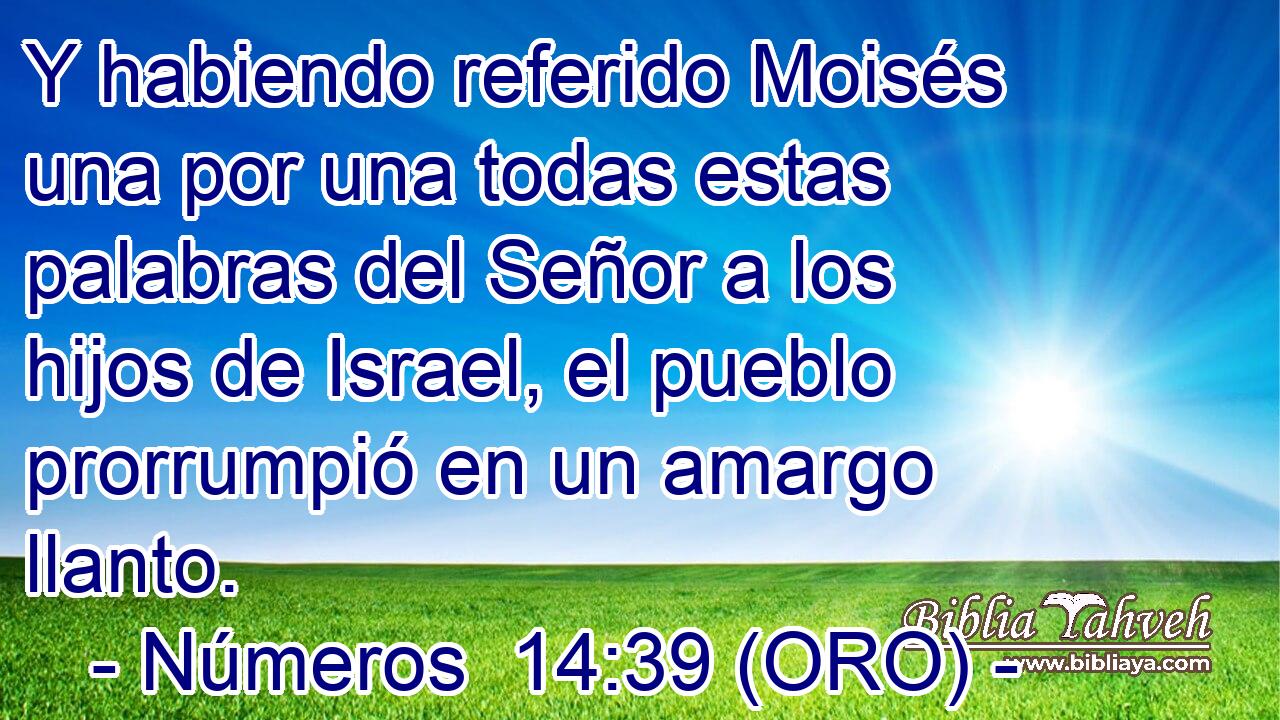 Y habiendo referido Moisés una por una todas estas palabras del Señor a los hijos de Israel, el pueblo prorrumpió en un amargo llanto. 