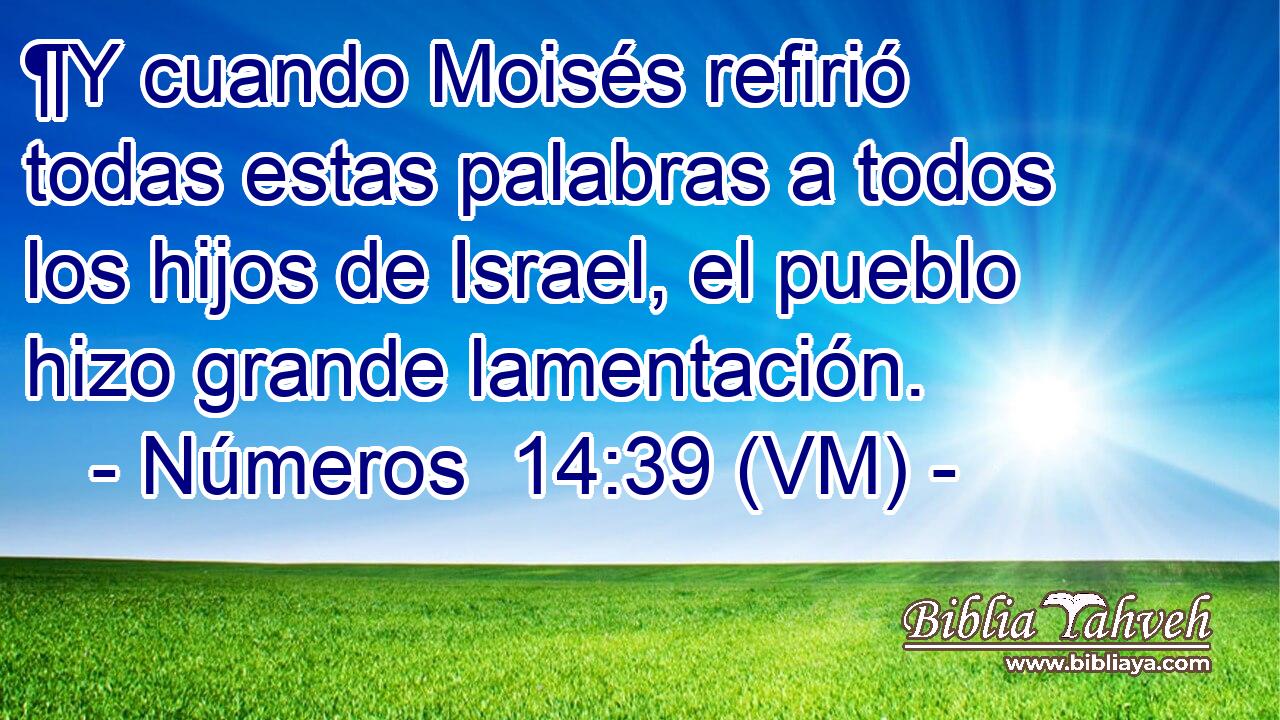  ¶Y cuando Moisés refirió todas estas palabras a todos los hijos de Israel, el pueblo hizo grande lamentación. 
