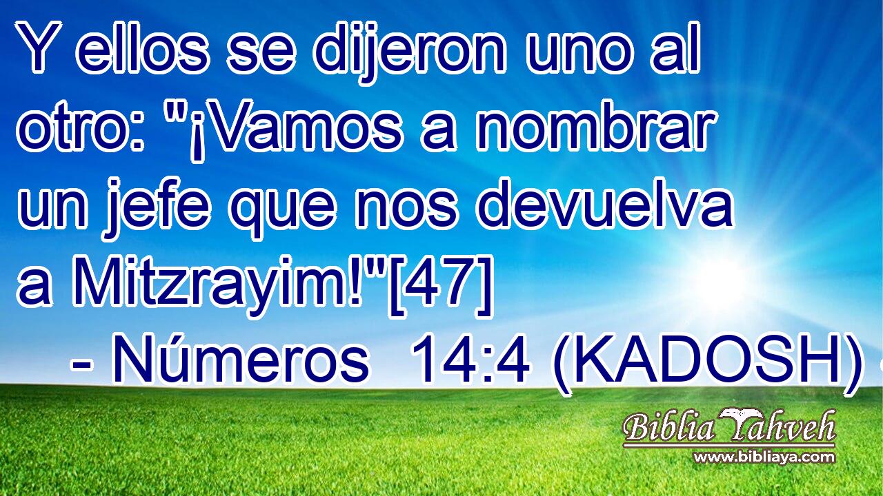  Y ellos se dijeron uno al otro: 