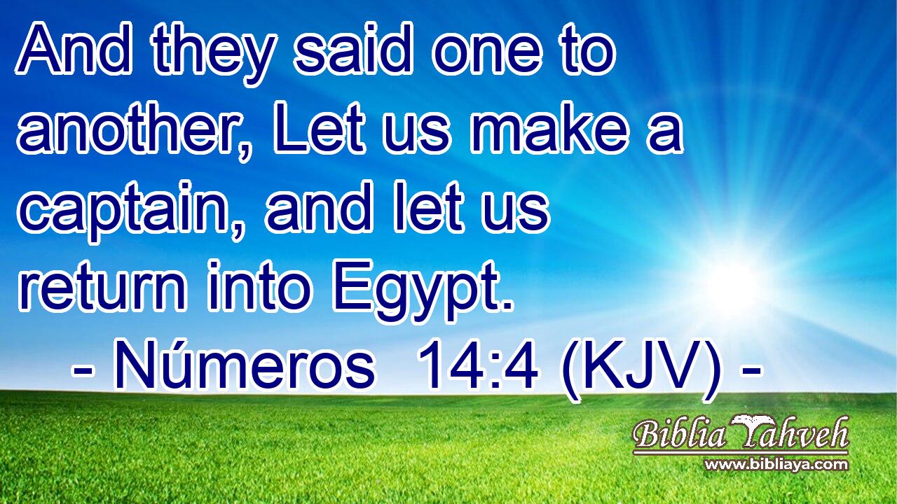 And they said one to another, Let us make a captain, and let us return into Egypt.