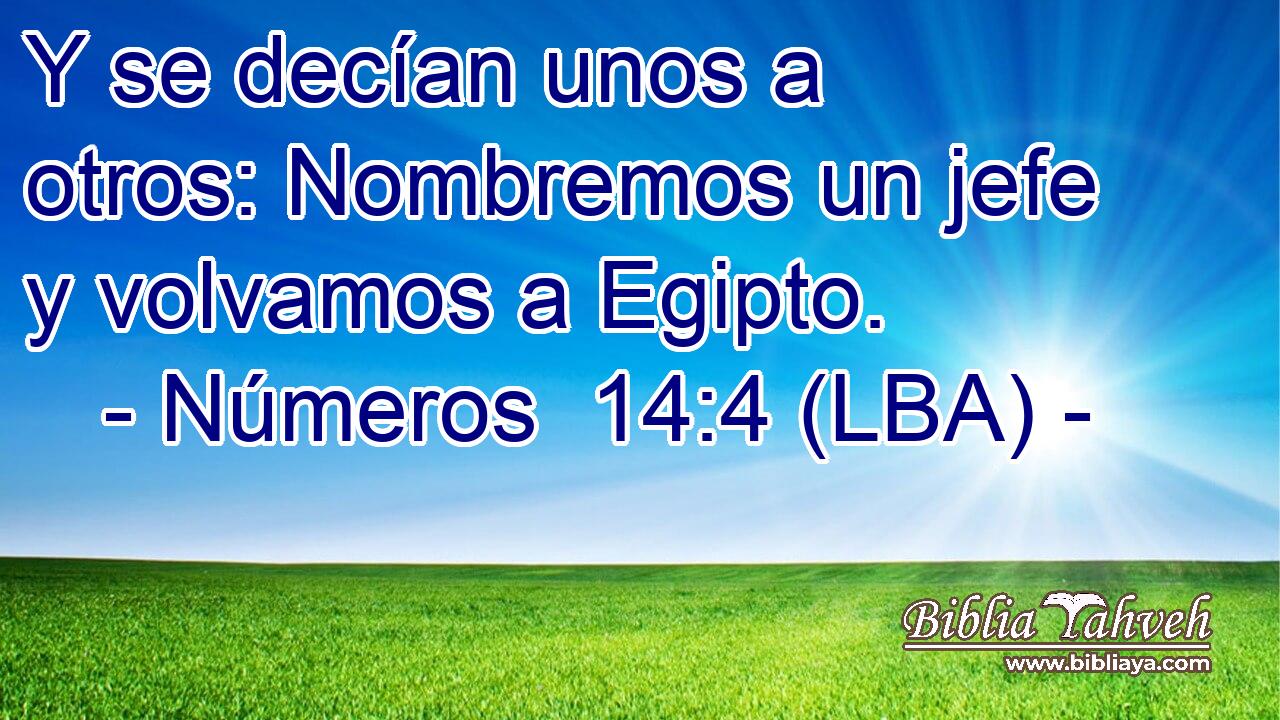 Y se decían unos a otros: Nombremos un jefe y volvamos a Egipto.