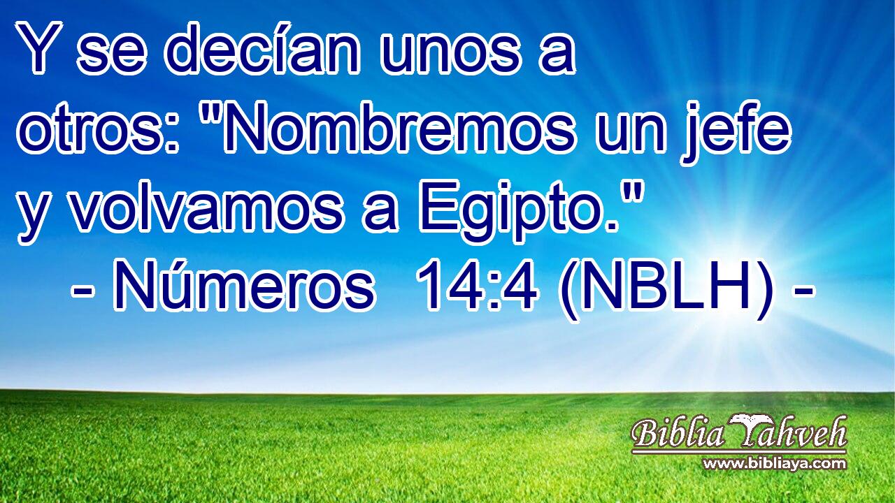  Y se decían unos a otros: 