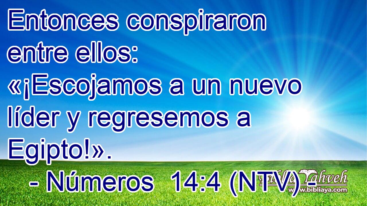 Entonces conspiraron entre ellos: «¡Escojamos a un nuevo líder y regresemos a Egipto!».