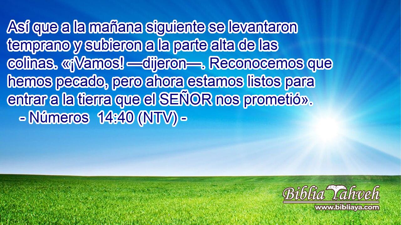 Así que a la mañana siguiente se levantaron temprano y subieron a la parte alta de las colinas. «¡Vamos! —dijeron—. Reconocemos que hemos pecado, pero ahora estamos listos para entrar a la tierra que el SEÑOR nos prometió».