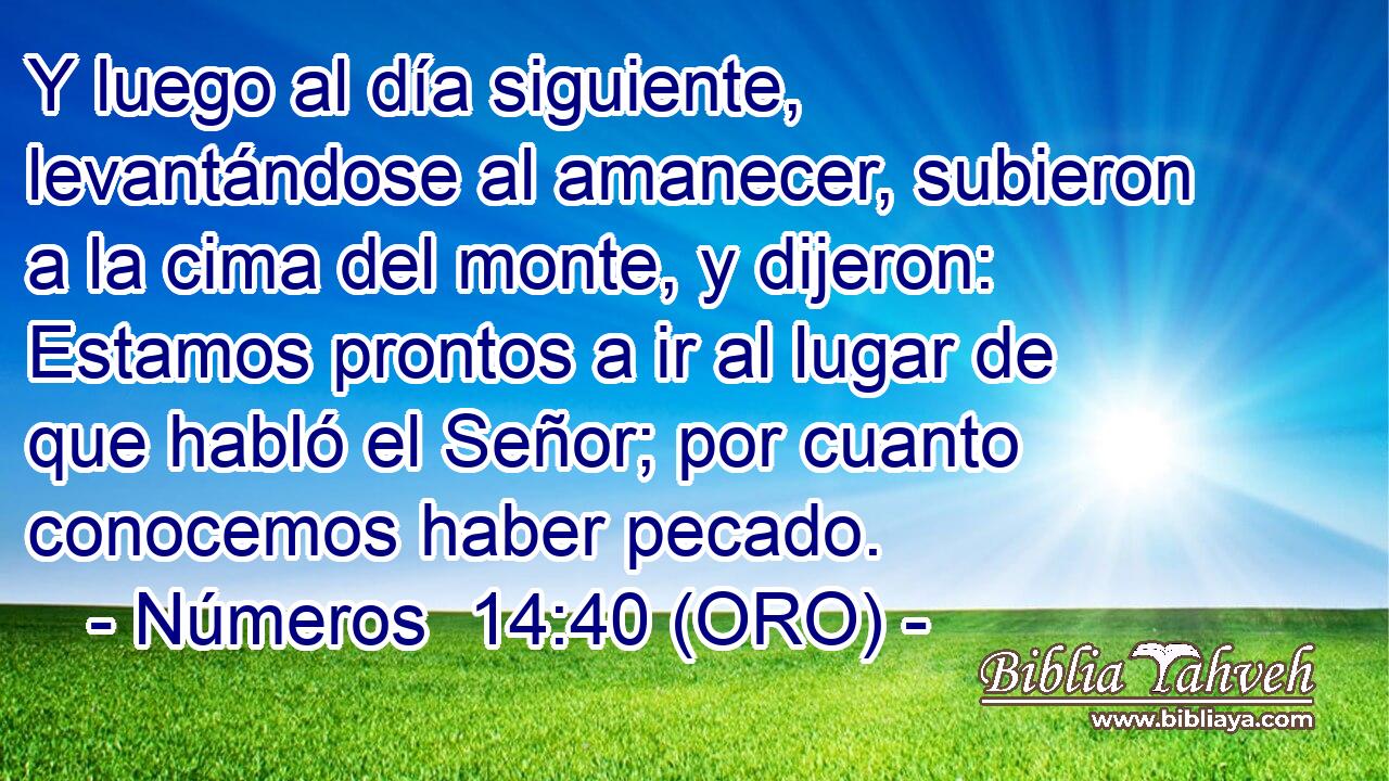  Y luego al día siguiente, levantándose al amanecer, subieron a la cima del monte, y dijeron: Estamos prontos a ir al lugar de que habló el Señor; por cuanto conocemos haber pecado. 