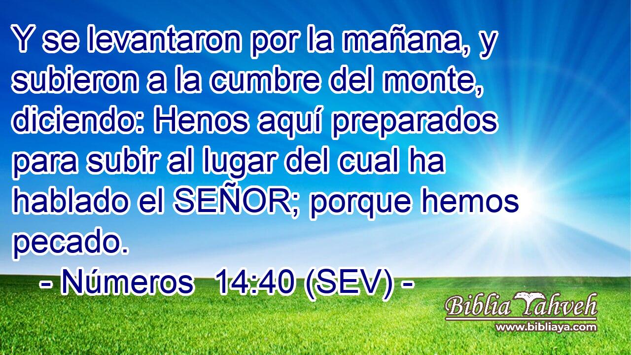 Y se levantaron por la mañana, y subieron a la cumbre del monte, diciendo: Henos aquí preparados para subir al lugar del cual ha hablado el SEÑOR; porque hemos pecado.