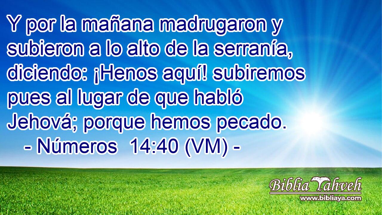  Y por la mañana madrugaron y subieron a lo alto de la serranía, diciendo: ¡Henos aquí! subiremos pues al lugar de que habló Jehová; porque hemos pecado. 