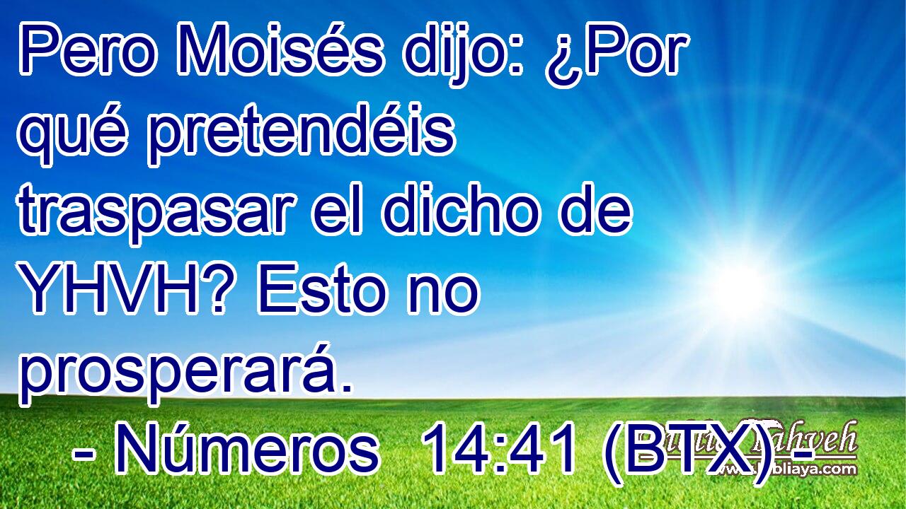 Pero Moisés dijo: ¿Por qué pretendéis traspasar el dicho de YHVH? Esto no prosperará.