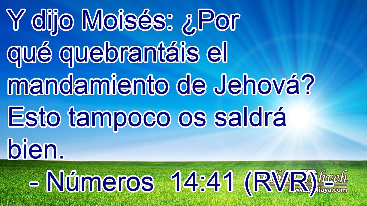 Y dijo Moisés: ¿Por qué quebrantáis el mandamiento de Jehová? Esto tampoco os saldrá bien.