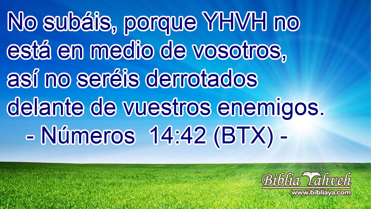 No subáis, porque YHVH no está en medio de vosotros, así no seréis derrotados delante de vuestros enemigos.
