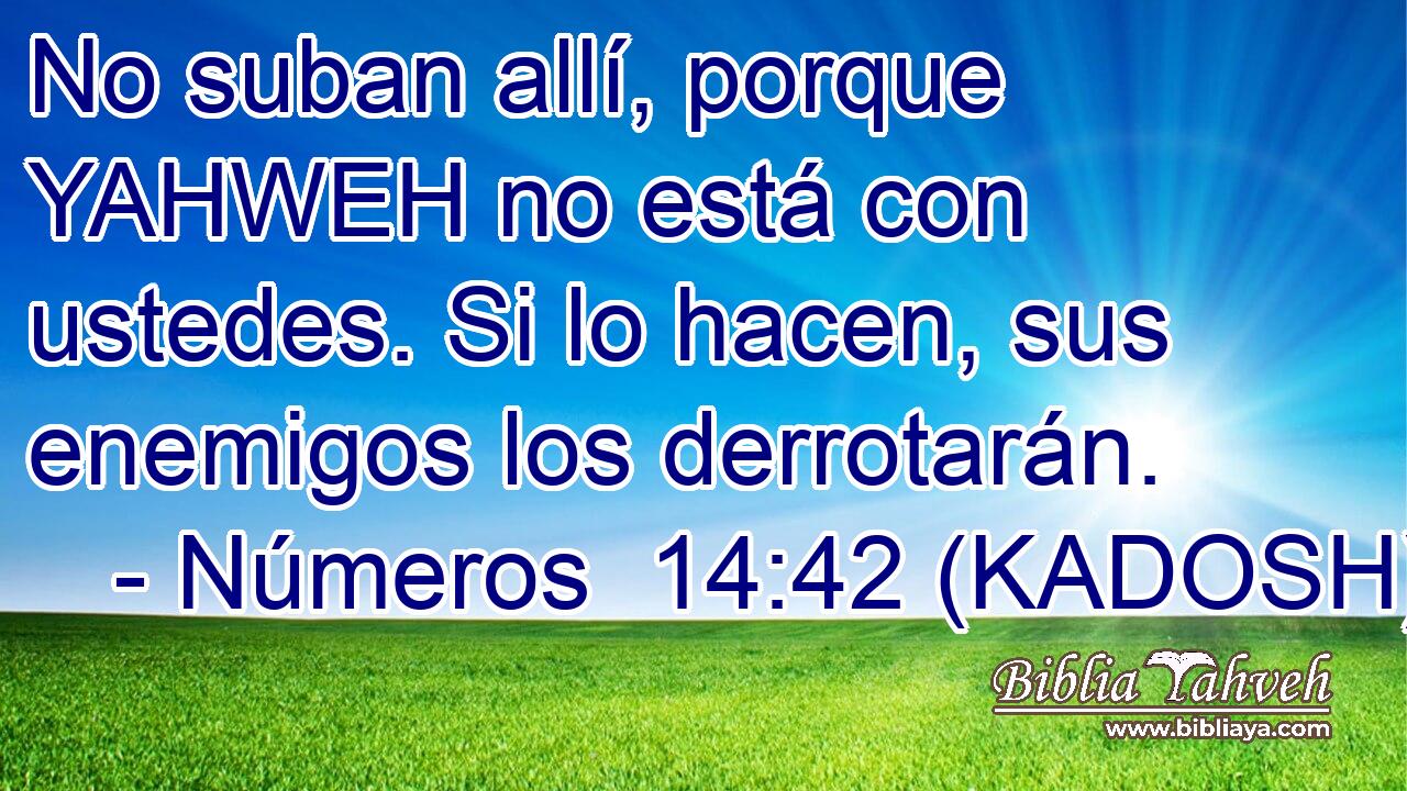  No suban allí, porque YAHWEH no está con ustedes. Si lo hacen, sus enemigos los derrotarán. 