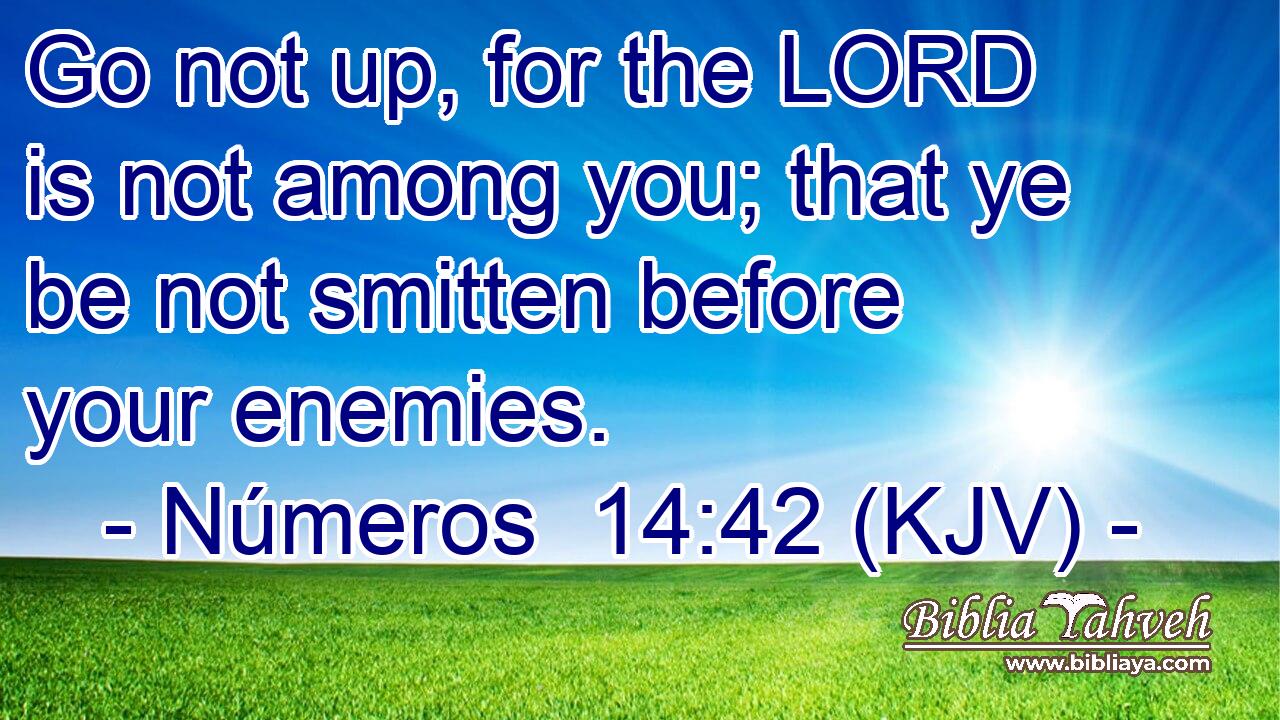 Go not up, for the LORD is not among you; that ye be not smitten before your enemies.