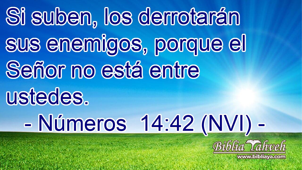  Si suben, los derrotarán sus enemigos, porque el Señor no está entre ustedes. 