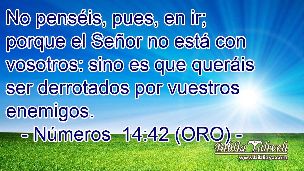  No penséis, pues, en ir; porque el Señor no está con vosotros: sino es que queráis ser derrotados por vuestros enemigos. 