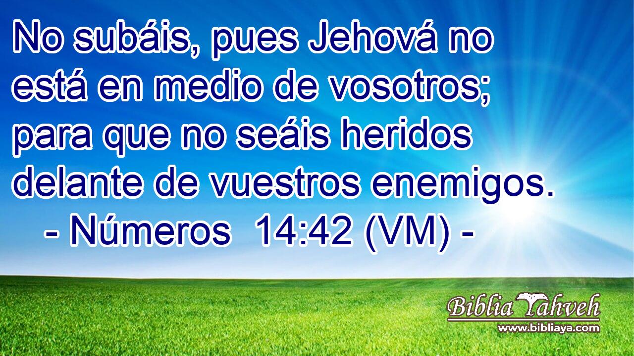  No subáis, pues Jehová no está en medio de vosotros; para que no seáis heridos delante de vuestros enemigos. 