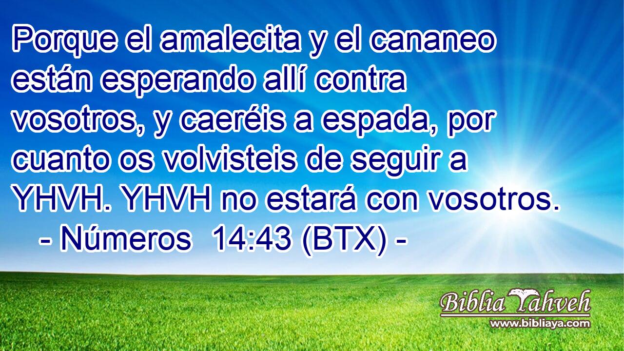 Porque el amalecita y el cananeo están esperando allí contra vosotros, y caeréis a espada, por cuanto os volvisteis de seguir a YHVH. YHVH no estará con vosotros.