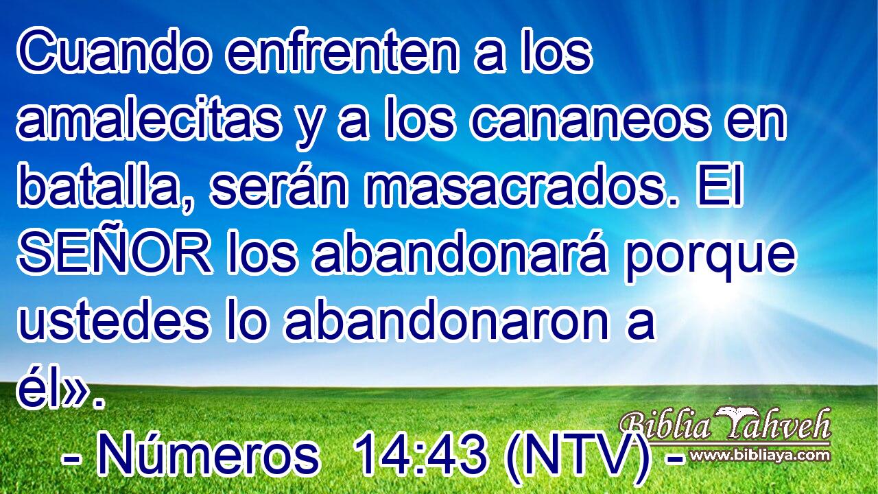 Cuando enfrenten a los amalecitas y a los cananeos en batalla, serán masacrados. El SEÑOR los abandonará porque ustedes lo abandonaron a él».