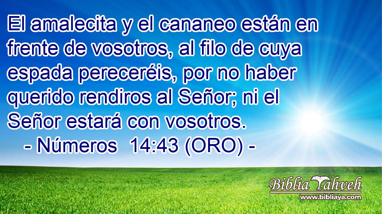  El amalecita y el cananeo están en frente de vosotros, al filo de cuya espada pereceréis, por no haber querido rendiros al Señor; ni el Señor estará con vosotros. 