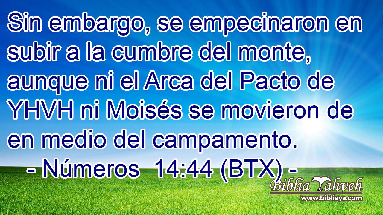 Sin embargo, se empecinaron en subir a la cumbre del monte, aunque ni el Arca del Pacto de YHVH ni Moisés se movieron de en medio del campamento.