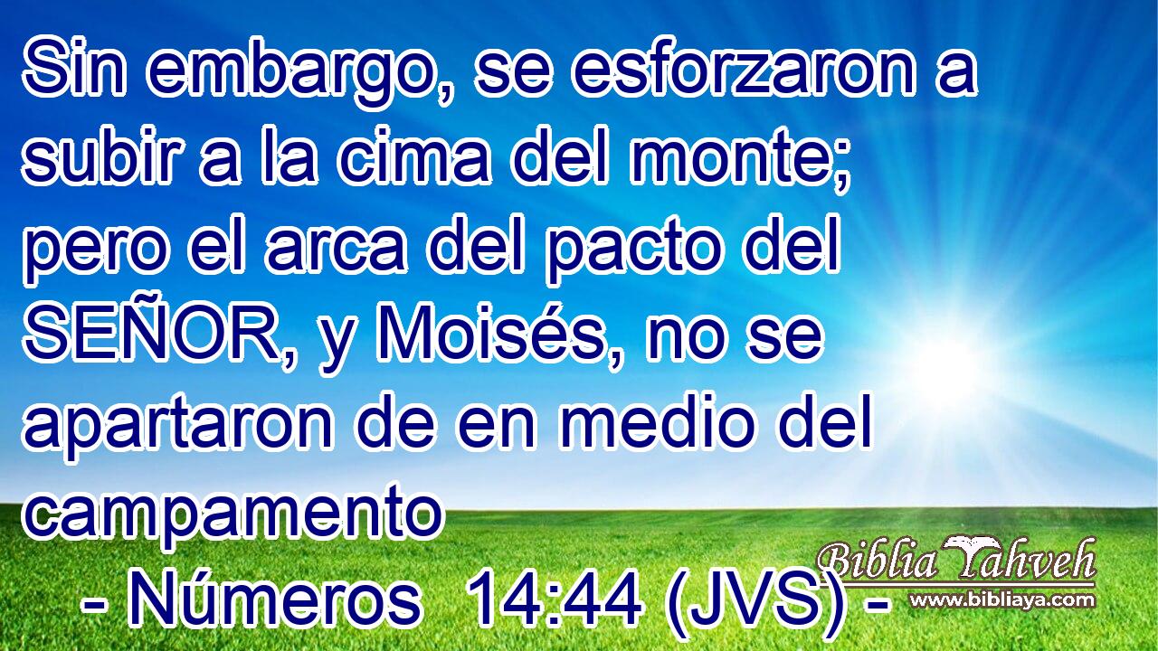 Sin embargo, se esforzaron a subir a la cima del monte; pero el arca del pacto del SEÑOR, y Moisés, no se apartaron de en medio del campamento